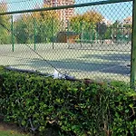 Sol Da Rocha By Sunny Deluxe * Portimão