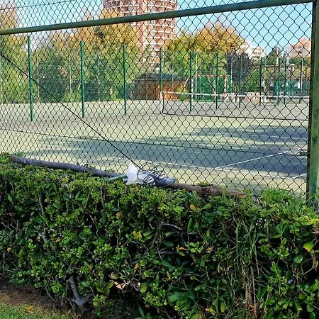 Sol Da Rocha By Sunny Deluxe * Портиман