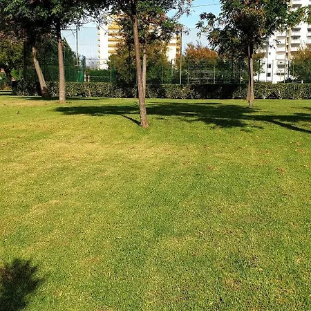 Sol Da Rocha By Sunny Deluxe Apartament