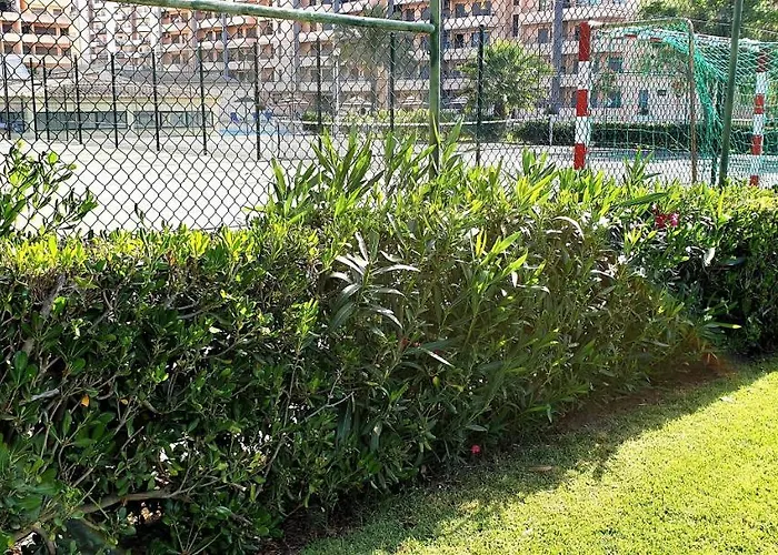 Sol Da Rocha By Sunny Deluxe *